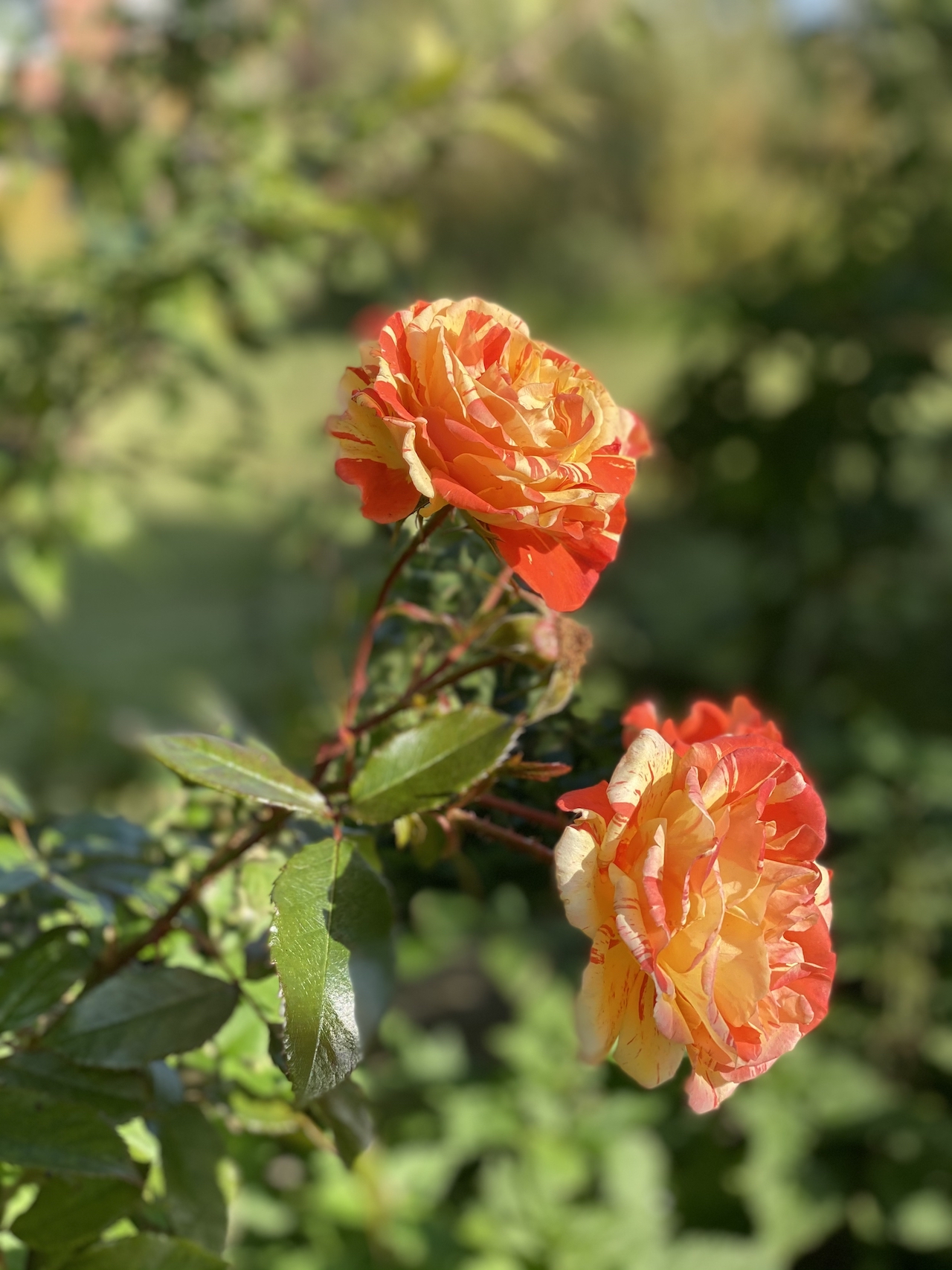 &copy; Anja und Thomas Wehner