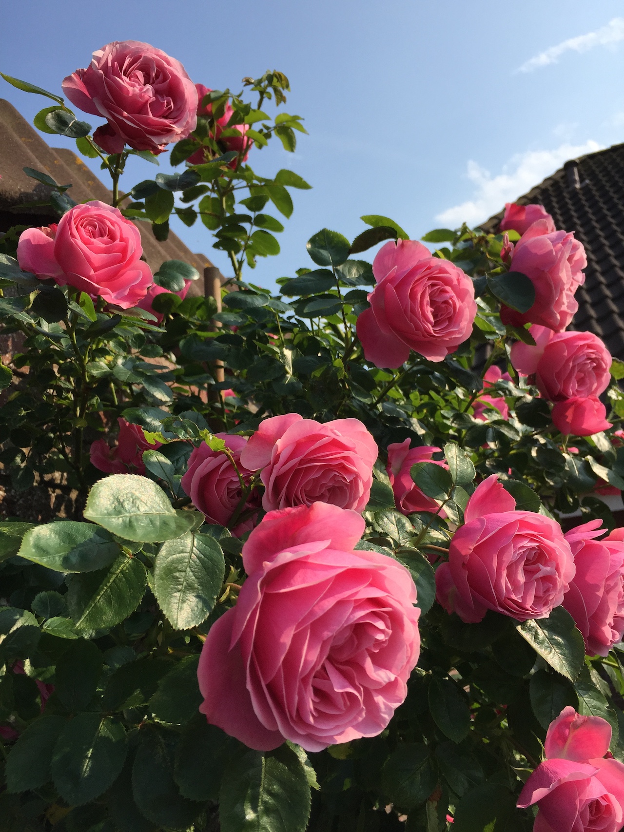 &copy; Anja und Thomas Wehner